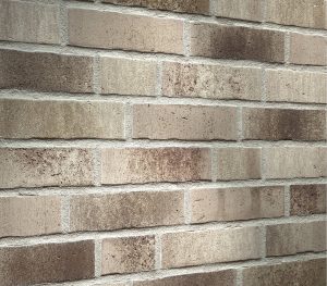 Eclipse Brick Slip